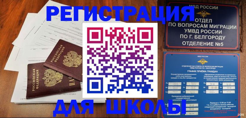 прописка поиск в Вельске